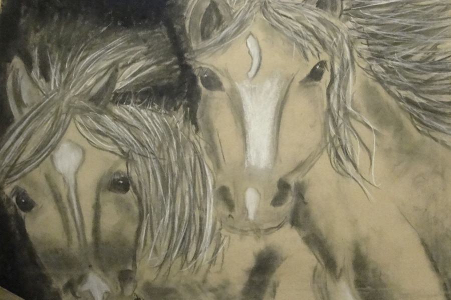 dwie końskie głowy w zbliżeniu z przodu z rozwianymi grzywami, narysowane czarnym i białym węglem na pakowym szarym papierze.