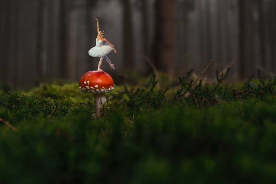 Zdjęcie przedstawia pejzaż leśny z baletnicę stojącą na grzybie w pozie klasycznej.