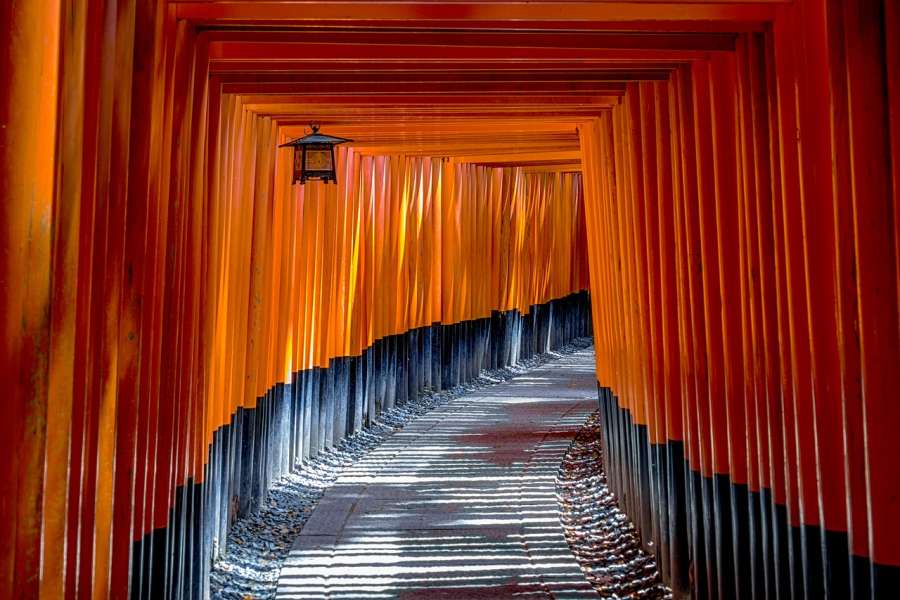 zdjęcie przedstawia japońską bramę- tori.