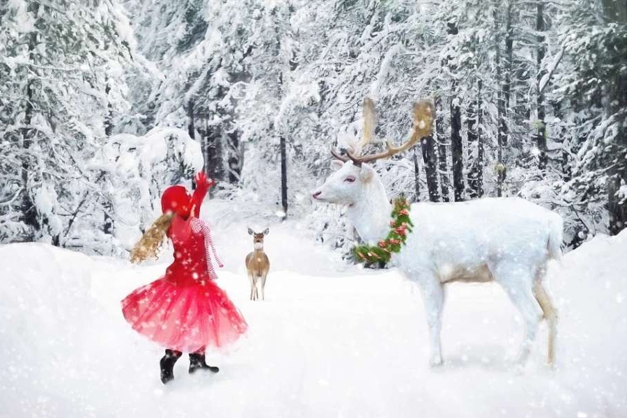 Zdjęcie przedstawia zimę, tańcząca dziewczynkę i leśne zwierzęta.