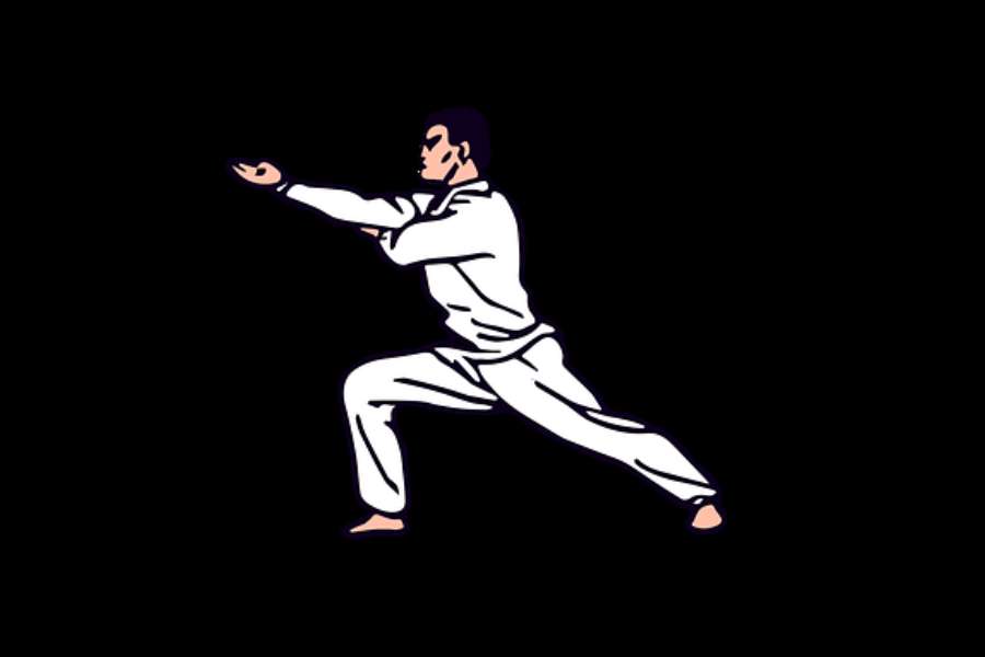 grafika przedstawiająca karatekę