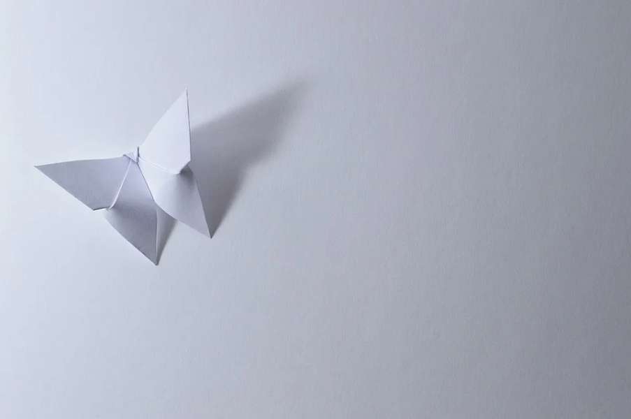 motyl z origami