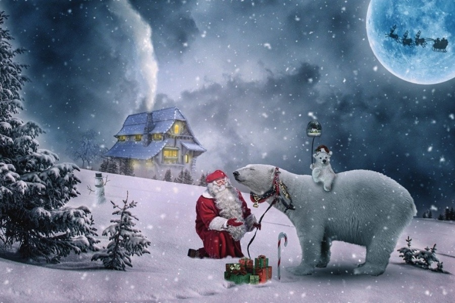 grafika świąteczna - mikołaj z białym niedźwiedziem
