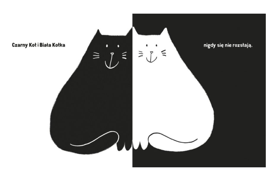 rysunek z książki - czarny kot na białym tle i biały kot na czarnym tle