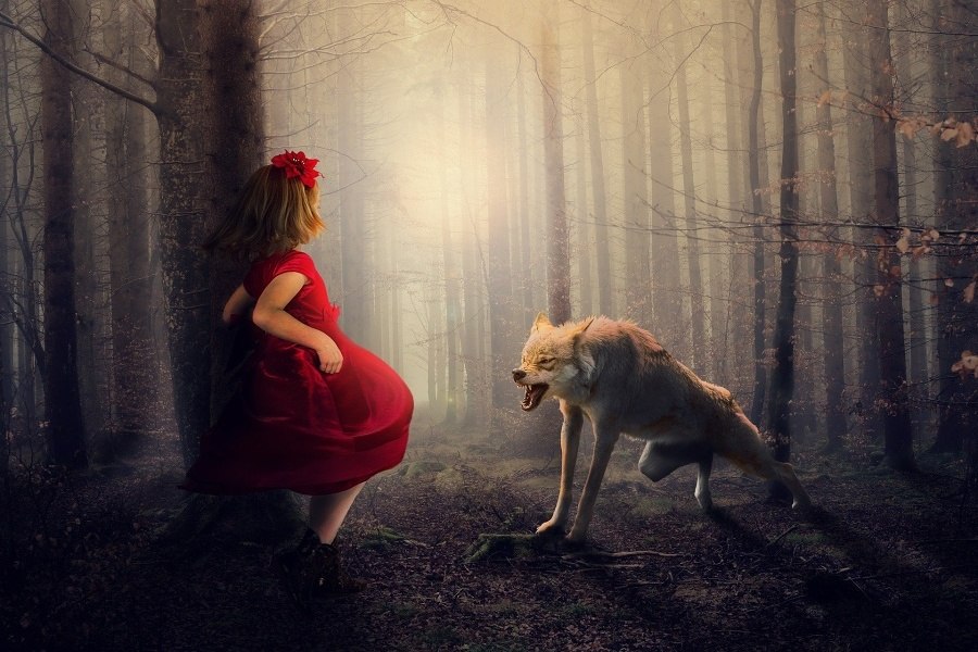 Na tle zamglonych, szarych drzew widoczna jest dziewczynka w czerwonym płaszczu odwrócona tyłem do widza, na przeciwko niej znajduje się warczący wilk, kierujący swoje kły w stronę dziewczynki