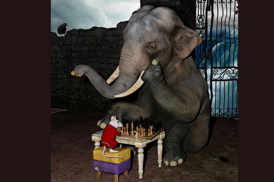 słoń i mysz grają w szachy