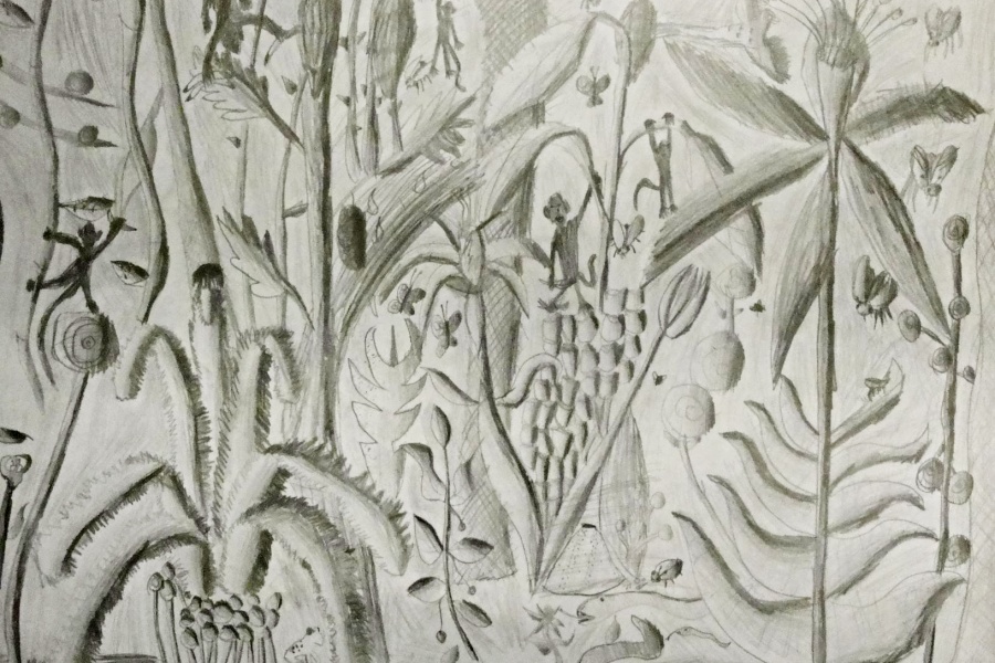 praca plastyczna widać narysowane ołówkiem różne dziwne rośliny,owady,ptaki , małpy.