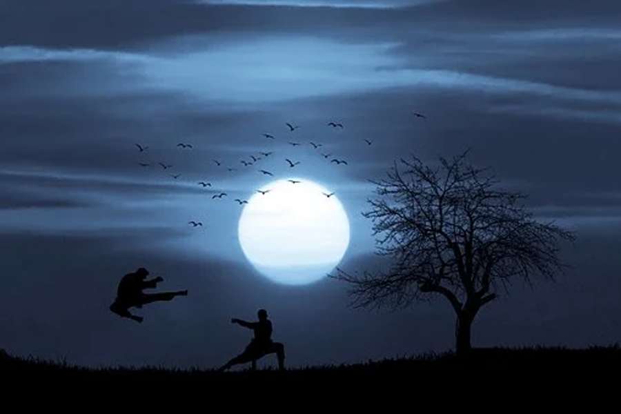 Na ilustracji dwóch karateków walczących ze sobą w blasku księżyca.