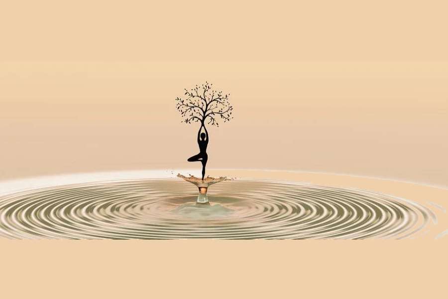 Zdjęcie przedstawia postać kobiecą medytującą w wodzie, trzymającą w dłoniach drzewo.