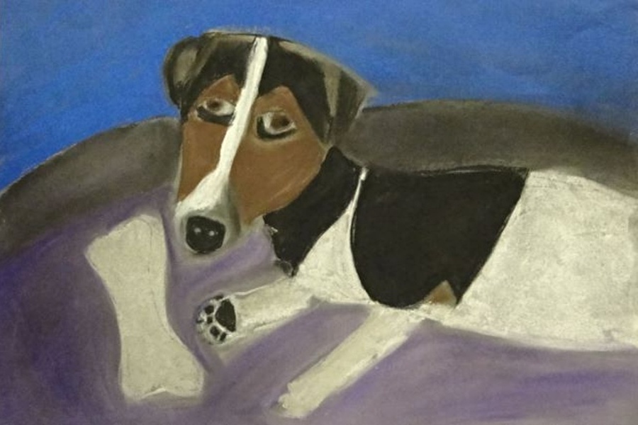na fioletowym posłaniu leży pies w biało-brązowo-czarne łaty, a przed nim widać białą kość