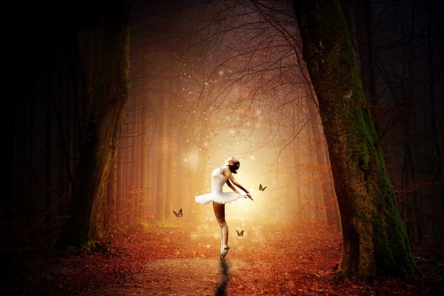 Zdjęcie przedstawia oświetloną baletnicę otoczoną motylami  w samym środku lasu.